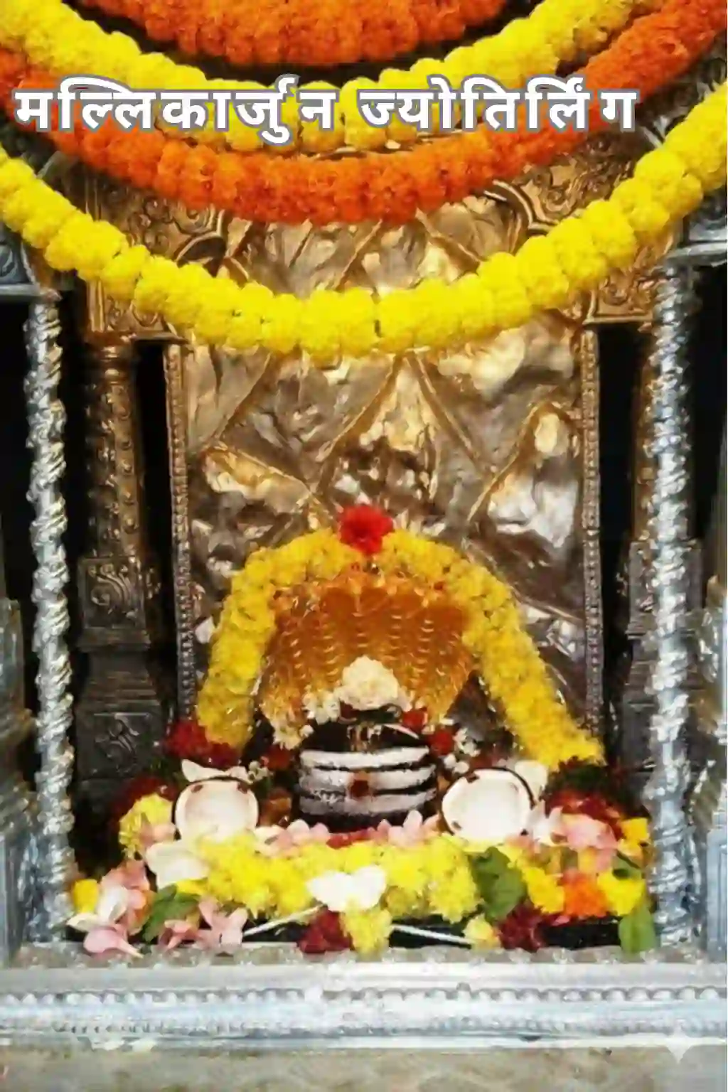 मल्लिकार्जुन ज्योतिर्लिंग 